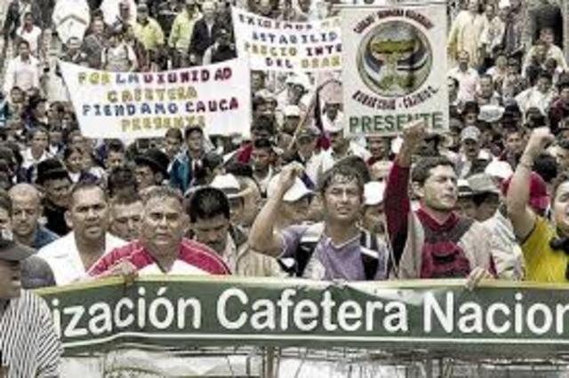 Conformación nacional de cafetos