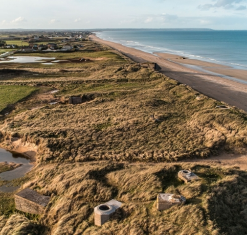 The Plague Ravages France