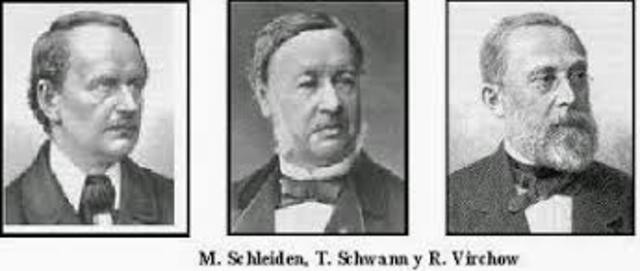 Formalización de la Teoría Celular