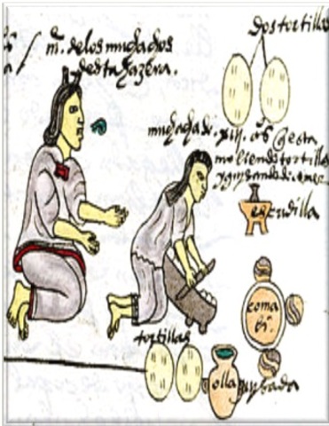 EPIDEMIA DE COCOLIZTLI