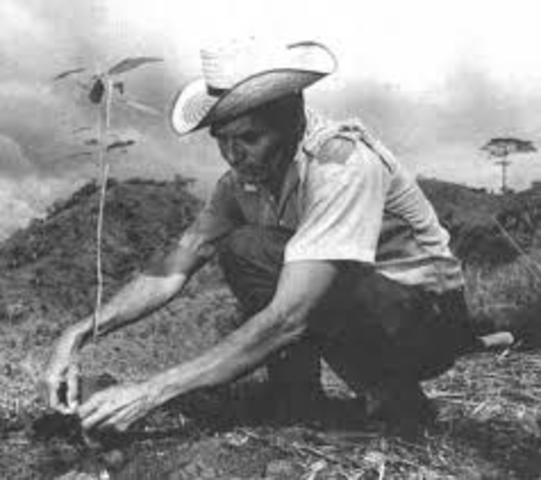 Varios intentos por atender el rezago educativo de los adultos