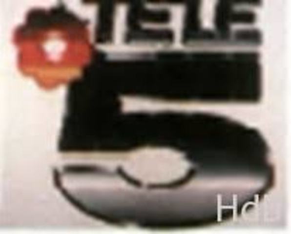 Televisió privada a Espanya