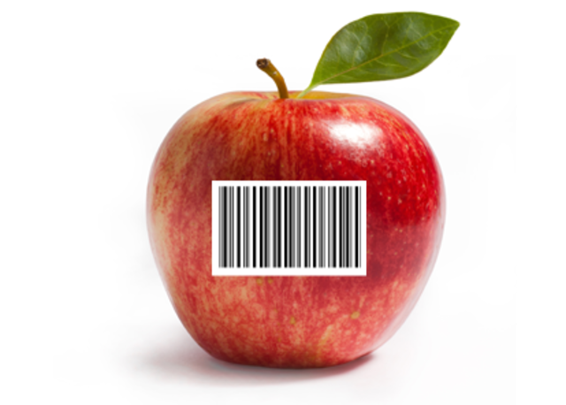 Década de los 90´s