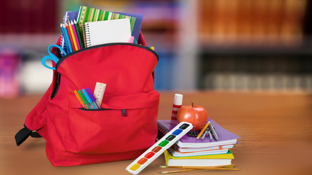 3.3 Indicaciones para la siguiente cesión.