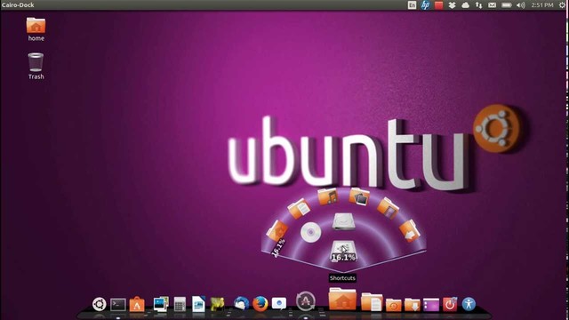 13.10 Saucy Salamander