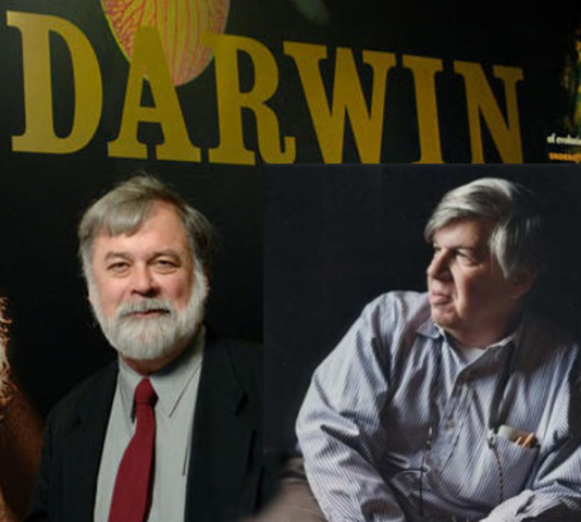 Teoria del equilibrio puntuado.