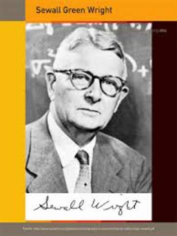 Sewall Green Wright