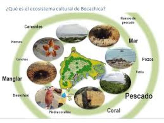 Decreto 2941 de 2009