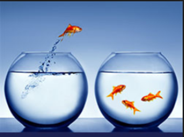 Add the staging environment