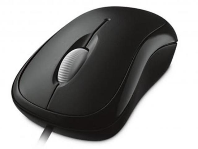 computer mouse