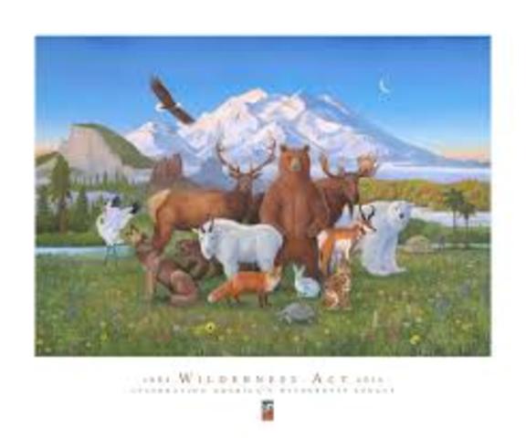 Wilderness Act