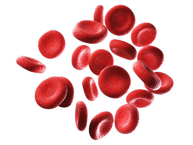 Blood Cells