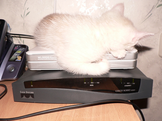 Первый контекстный баннер