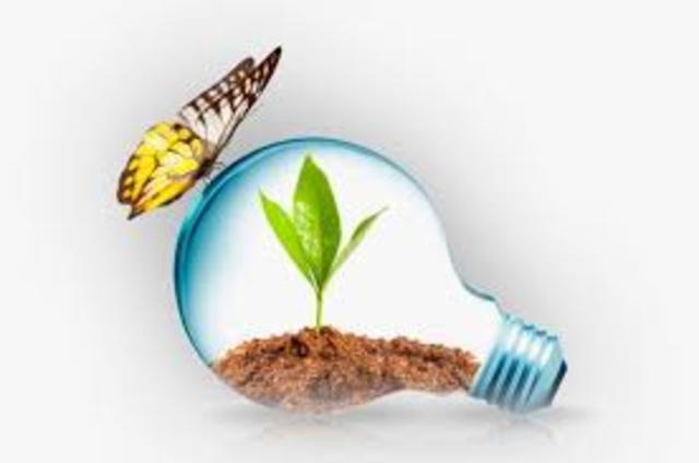 Lineamientos de la política de educación ambiental