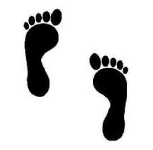 Fifteenth important date