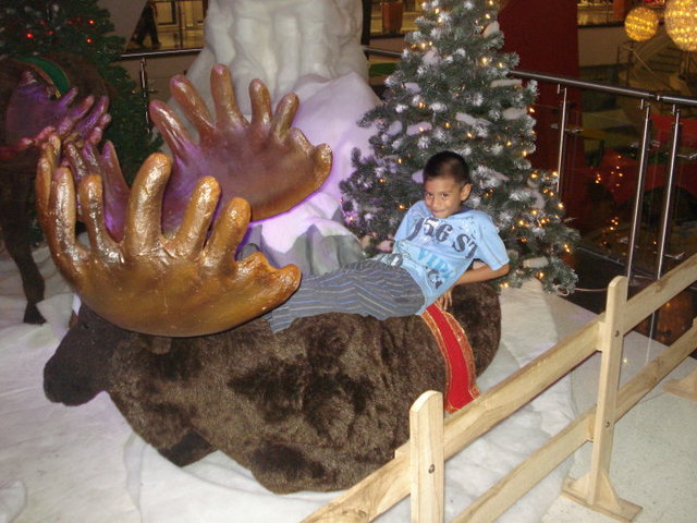 Viaje de navidad a Medellin