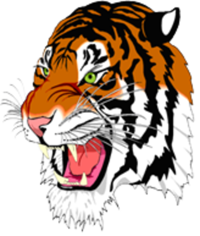 Started Leland middle school