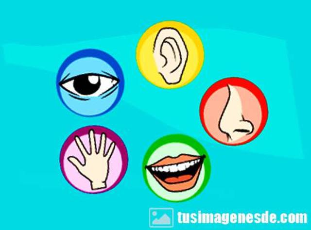 Reconozco que soy un ser vivo, por lo tanto, tengo algunas semejanzas con otros seres vivos, con los que me desarrollo en un mismo entorno.