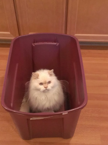 Au revoir, good friend