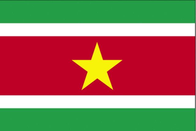 “La Misión Especial para el Fortalecimiento de la Democracia y la Promoción de Paz en Suriname” (1992-2000)