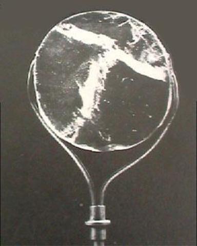 Layard - Nineah - Lenses