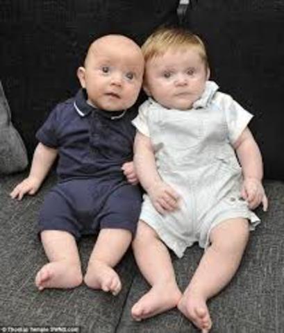 Friedrich und der Erzaehler sind geboren