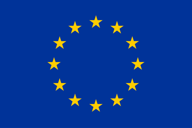 A vállalat európai piacra lépése