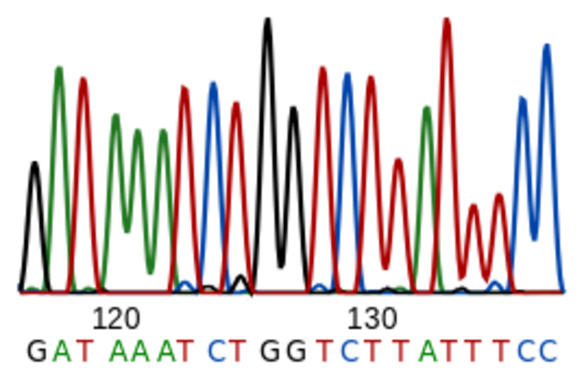 Método para secuenciar ADN.