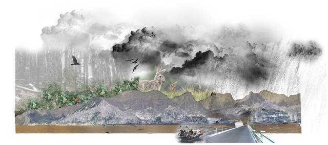 1° Recuento de Especies Invasoras