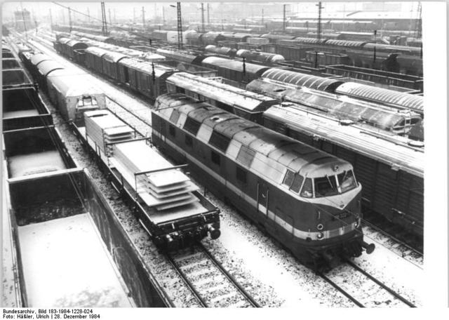 The first fleet arived