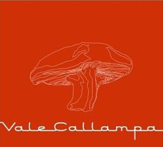 VALE CALLAMPA