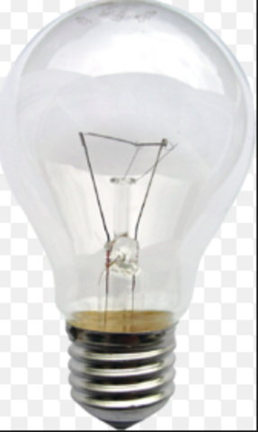 Electric light bulb