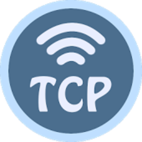 The beginning of TCP/IP