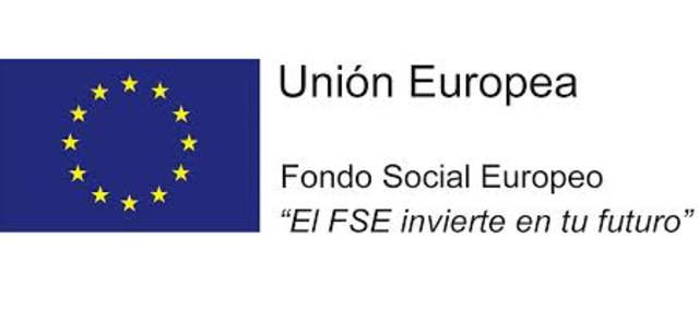Aprobación por el Consejo del reglamento interno del Fondo Social Europeo (FSE).