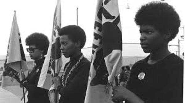Black Panthers
