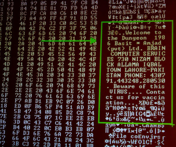 Anomenat Pakistani Brain o (c)Brain, El Primer Virus
