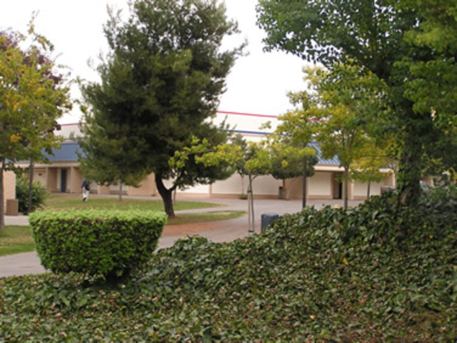 Graduated High School