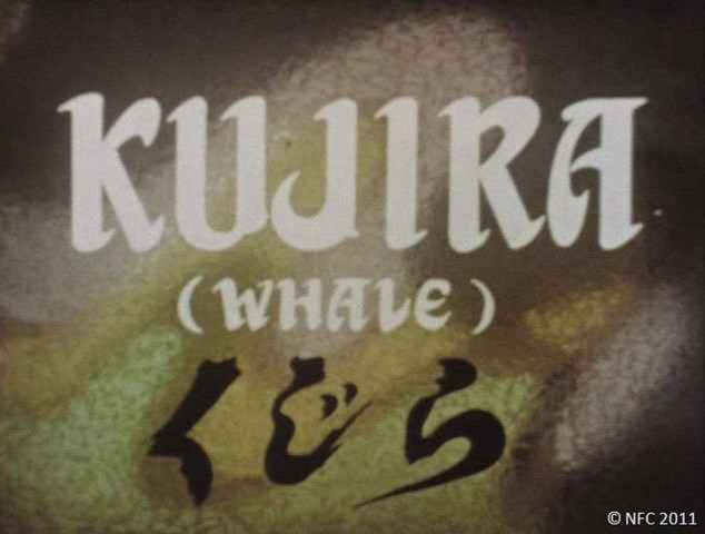 Kujira (Ballena)