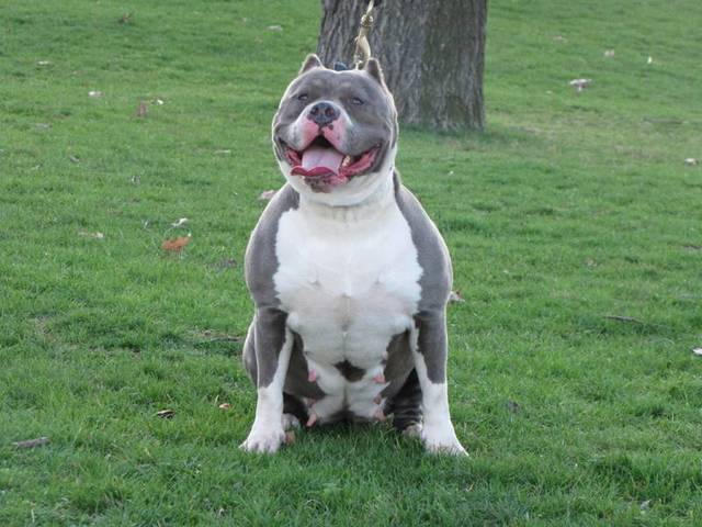 Despedida a un miembro