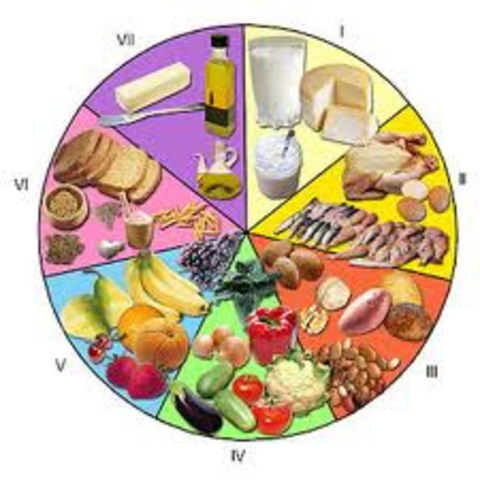 Diseño del Plan Nacional de Alimentación y Nutrición (PAN)