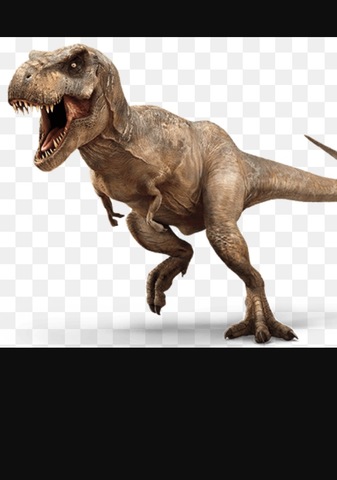 Google has a dinosaur company