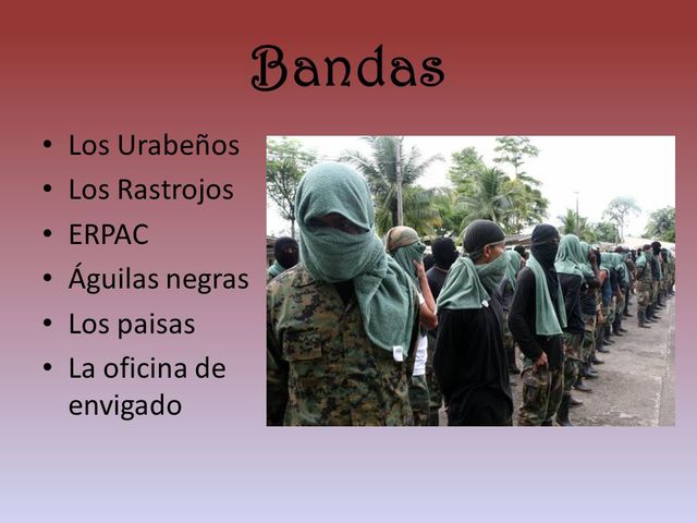 CONFORMACIÓN DE BACRIM