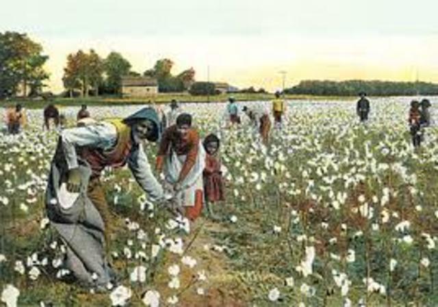 Sharecropping/Tenant Farmnig