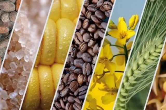 la nueva españa se vuelve una gran exportadora de materias primas