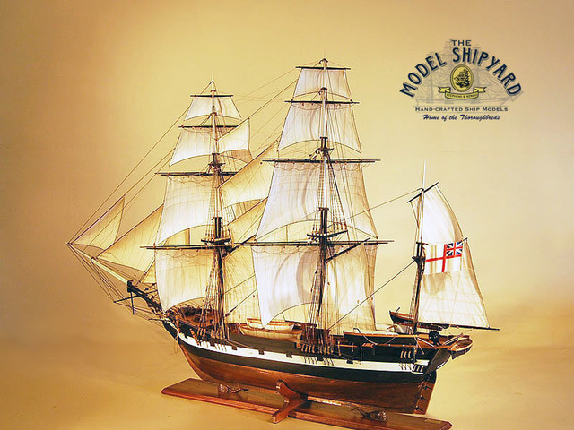 Comieno del viaje en el Beagle.