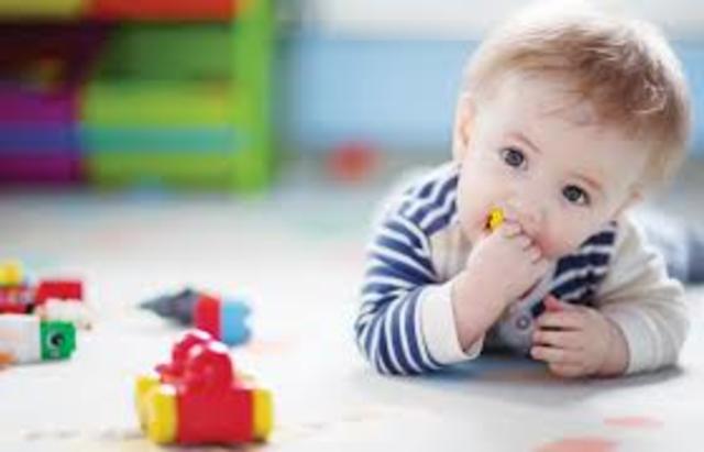 11 a 12 meses de vida