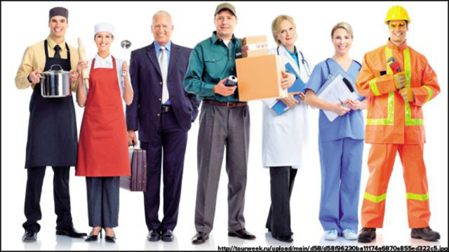 Портфолио во многих сферах