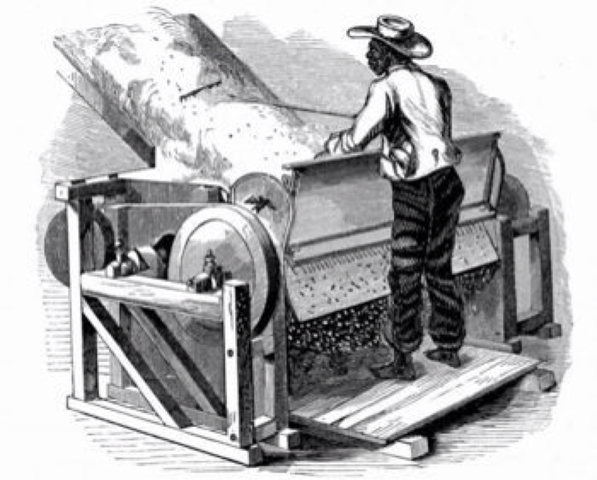 Invention of the Cotton Gin