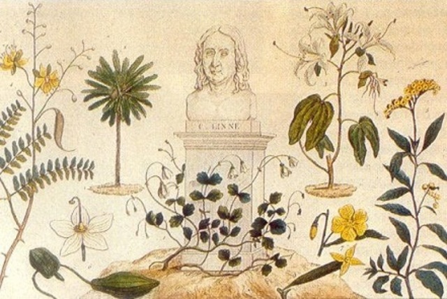 Expedición Botánica