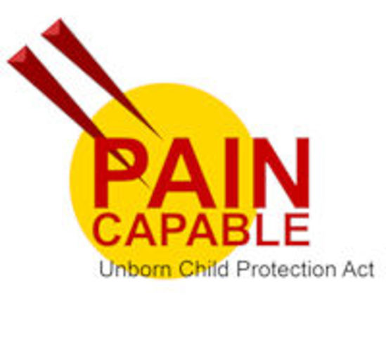 Pain Capable Unborn Child Protection Act